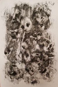 21. rabbit in wonderland